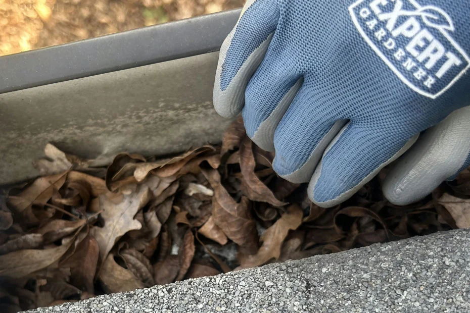 Gutter Cleaning Burlington